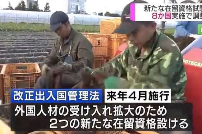 日本外籍實習生8年死174人 中國人佔近6成 | 華視新聞