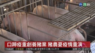 防非洲豬瘟 明起帶肉入境開罰20萬