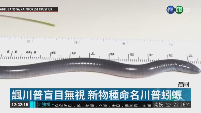 新物種"川普蚓螈" 諷川普無視氣候變遷 | 華視新聞