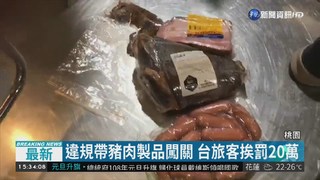 違規帶豬肉製品闖關 台旅客挨罰20萬