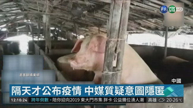 廣州也淪陷! 中國非洲豬瘟達百例 | 華視新聞