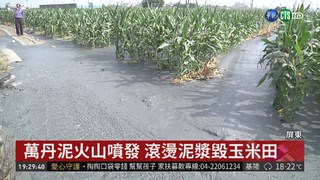屏東萬丹泥火山噴發 泥漿毀玉米田