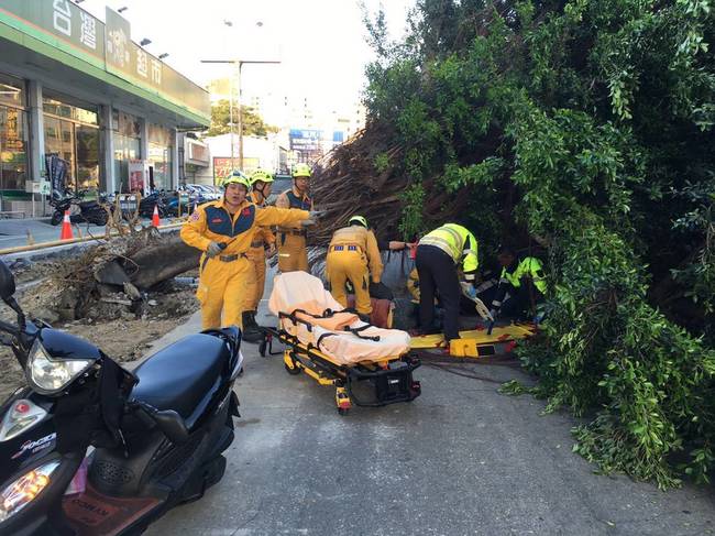 台中排水溝施工挖倒路樹 壓傷2名騎士 | 華視新聞