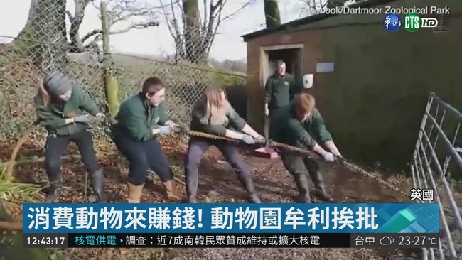 英動物園"人獸拔河" 引發虐待爭議 | 華視新聞