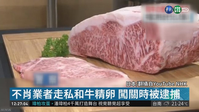 走私日本和牛精卵赴中 業者闖關被逮 | 華視新聞