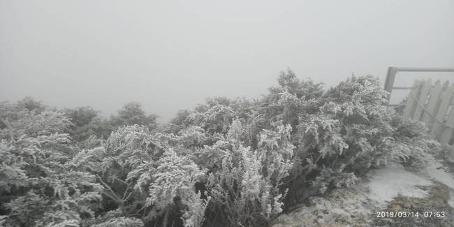 玉山今晨再降雪 積雪1公分 | 華視新聞