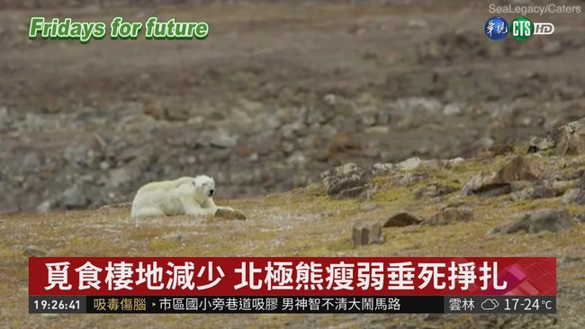 巴黎氣候協議 難擋北極增溫現象 | 華視新聞