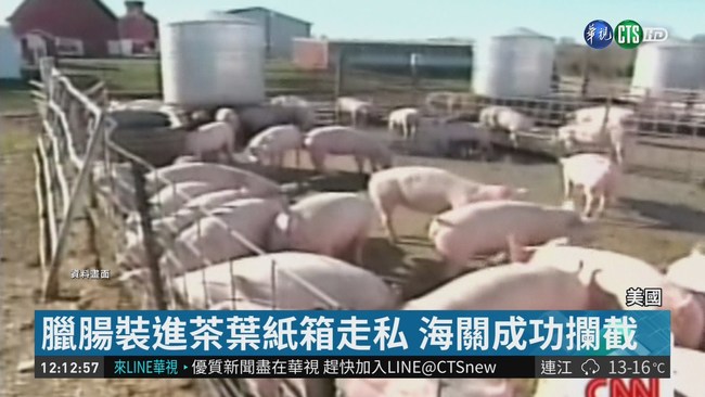 中國走私454噸豬肉闖美 "豬瘟"險入侵! | 華視新聞