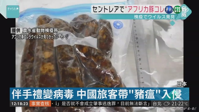 中國旅客攜帶香腸赴日 驗出非洲豬瘟 | 華視新聞