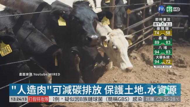用"草"當生長支架 人造肉技術新突破 | 華視新聞