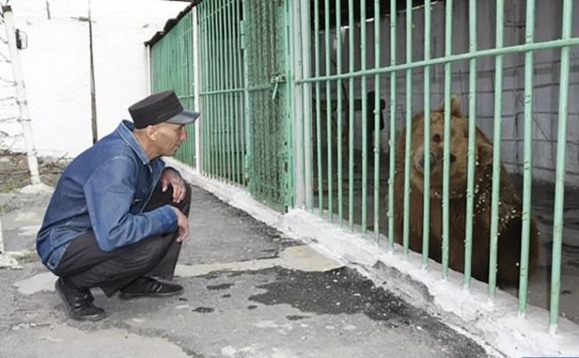 母棕熊遭判「終生監禁」 入獄與730名重刑犯為伍 | 華視新聞