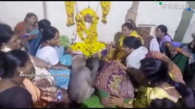 【午間搶先報】印度猴子現身葬禮 摸頭擁抱安慰家屬 | 華視新聞