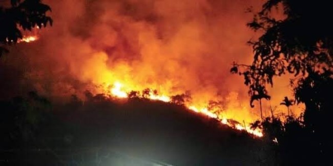 南蘇丹爆發森林大火 33人死亡.60人命危 | 華視新聞