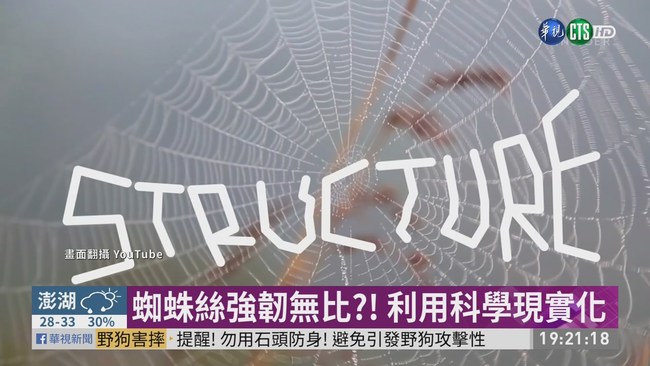 奈米碳管蜘蛛絲超強韌 負重4萬磅 | 華視新聞