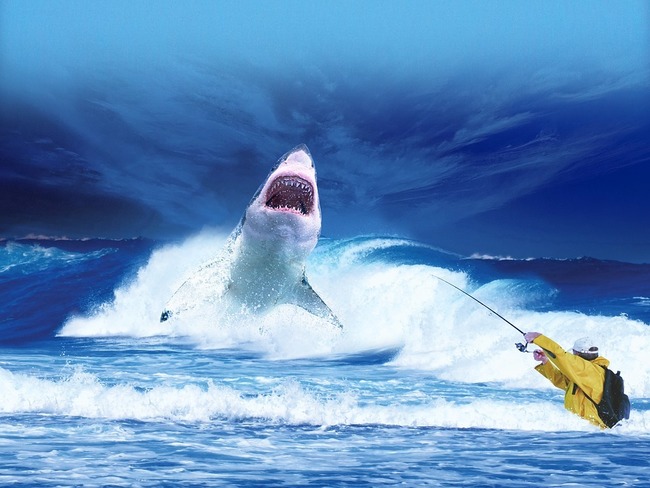 【影】男童驚喜釣到魚! 大白鯊竄出一口吞 | 華視新聞