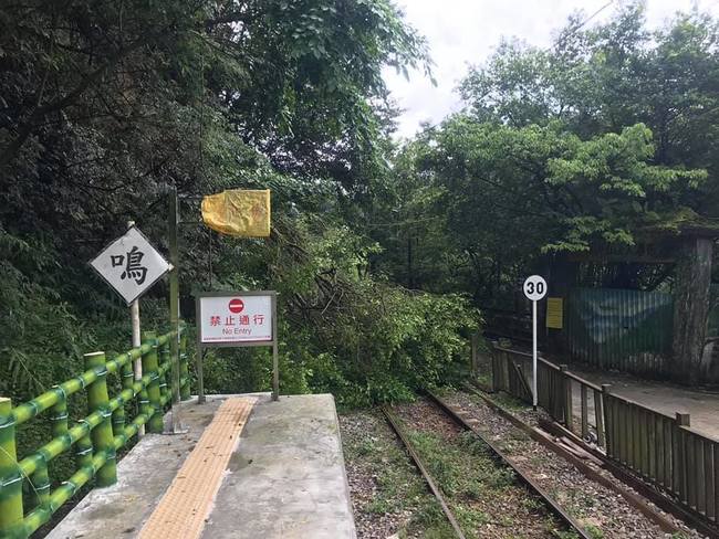 平溪線路樹倒塌 十分至菁桐改由公車接送 | 華視新聞
