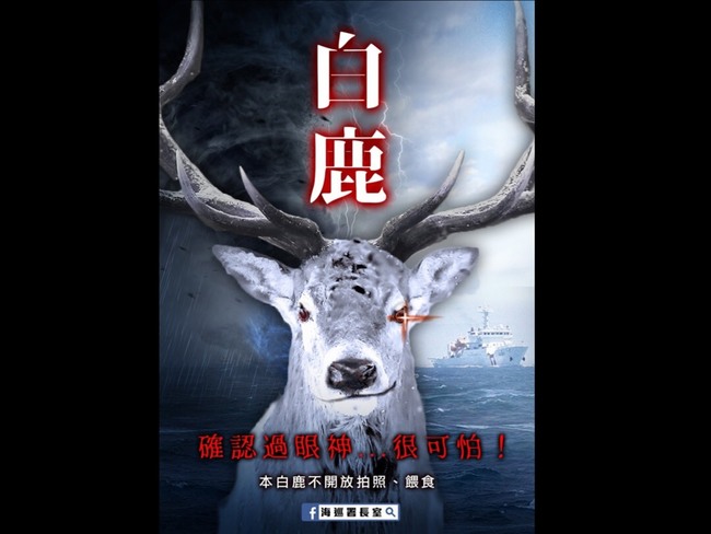 「白鹿」向台灣大步奔來！海巡署創意發文引熱議 | 華視新聞