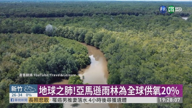 過度開發欠保護 亞馬遜雨林面積驟減 | 華視新聞