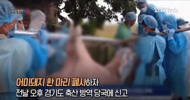 南韓連續2天爆非洲豬瘟 向北韓提共同防疫 | 華視新聞