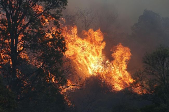 澳洲森林大火肆虐 雪梨空氣品質達「危險」等級 | 華視新聞