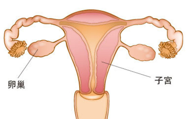 新型子宮頸癌篩檢方式 女性接受度更高！ | 華視新聞