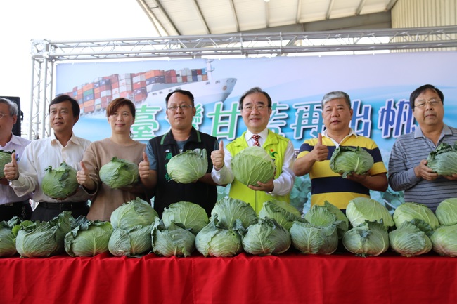 台灣農產外銷再突破！高麗菜進軍越南市場 | 華視新聞