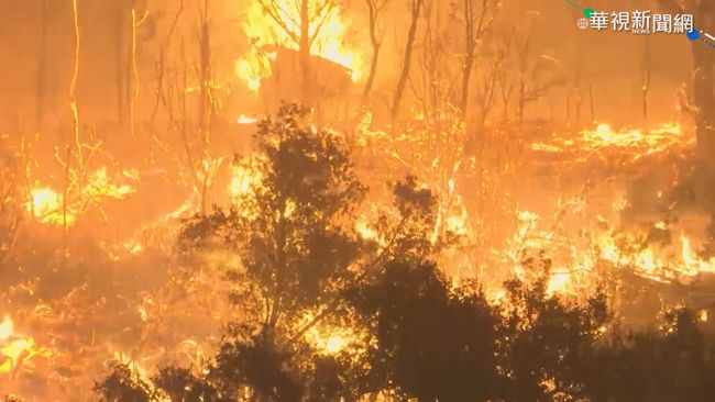 加州「洞窟大火」 延燒逾1200公頃林地 | 華視新聞