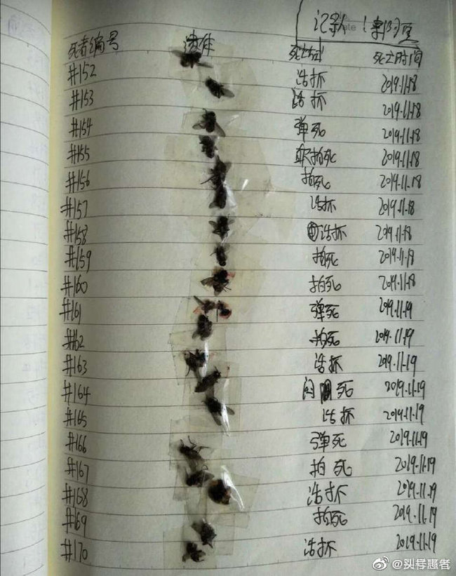 蒼蠅版「死亡筆記本」詳列10大死因 畫面曝光...網喊頭皮發麻 | 華視新聞