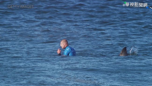 驚險! 7歲男孩衝浪 遭鯊魚掀翻落海 | 華視新聞