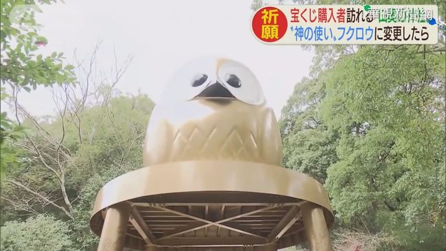 祈求財運降臨 日本貓頭鷹神社超人氣 | 華視新聞