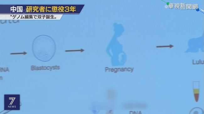非法基因編輯寶寶 賀建奎判刑3年 | 華視新聞