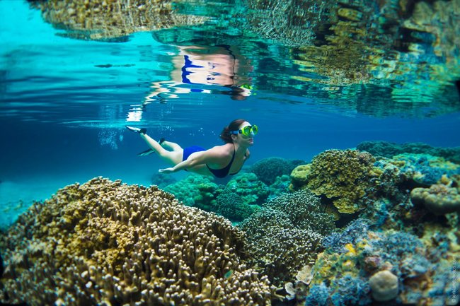 帛琉開先例護海洋！禁用含有害珊瑚防曬乳 | 華視新聞