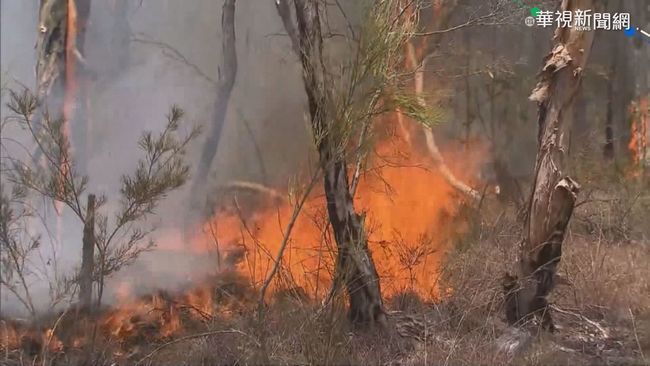 澳洲野火再蔓延 新一波高溫將來襲 | 華視新聞