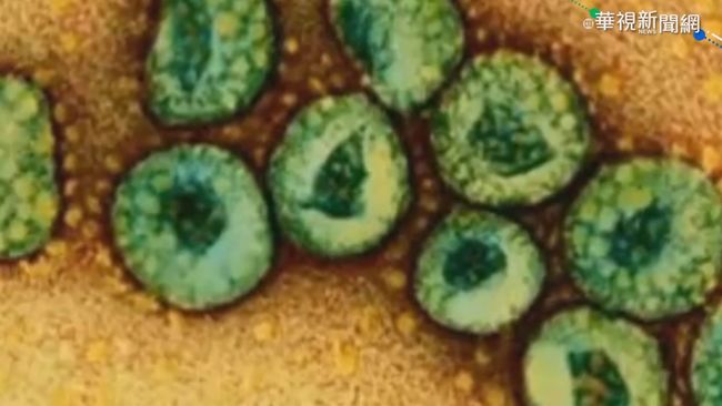 動物傳人 20年出現3種新冠狀病毒 | 華視新聞
