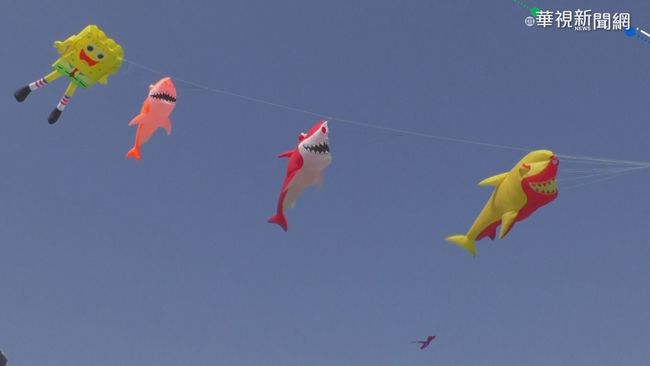 印度風箏節 鳥類的「空中陷阱」 | 華視新聞