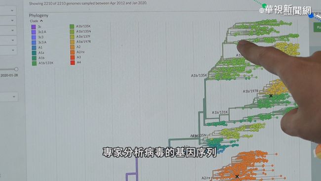 全球第4!台灣分離病毒株助研發疫苗 | 華視新聞