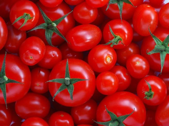 法國出現確診！毀滅性病毒害整座番茄農場被隔離 | 華視新聞