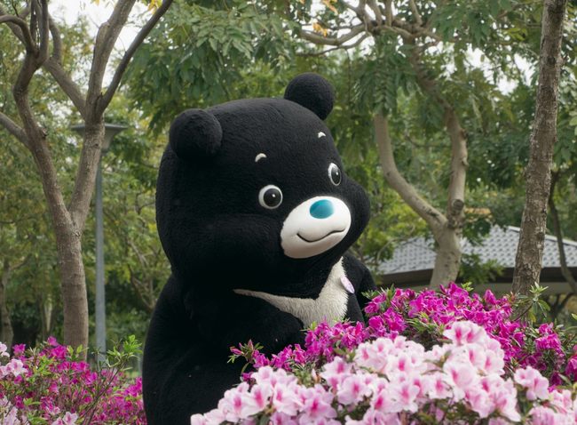 【影】熊讚力邀Hello Kitty 台北杜鵑花季3/14登場 | 華視新聞