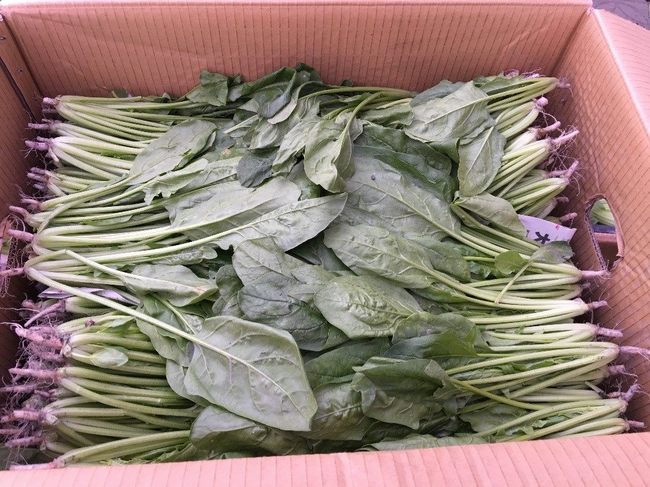 北市抽驗蔬果 7件農藥殘留超標 | 華視新聞