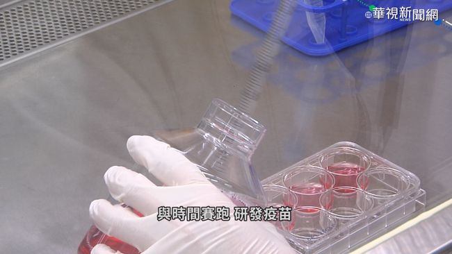 疫苗展開人體試驗 全球第一針 問世契機 | 華視新聞
