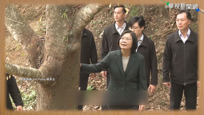總統訪「台灣樹王」 親種牛樟樹 | 華視新聞