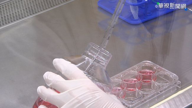 【台語新聞】新冠病毒疫苗 美展開首次人體試驗 | 華視新聞
