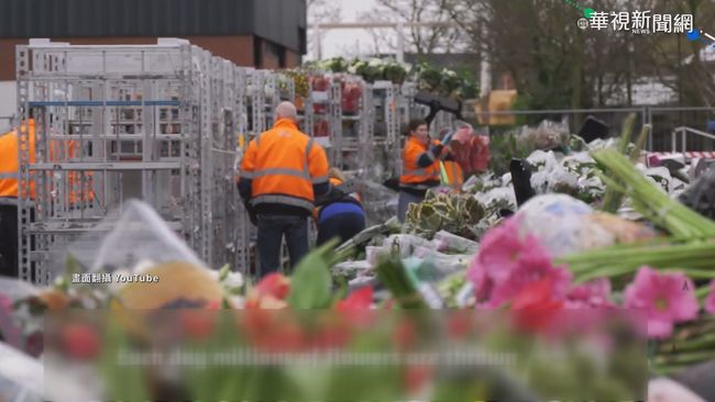 疫情燒到花卉市場 荷蘭銷毀數百萬朵花 | 華視新聞