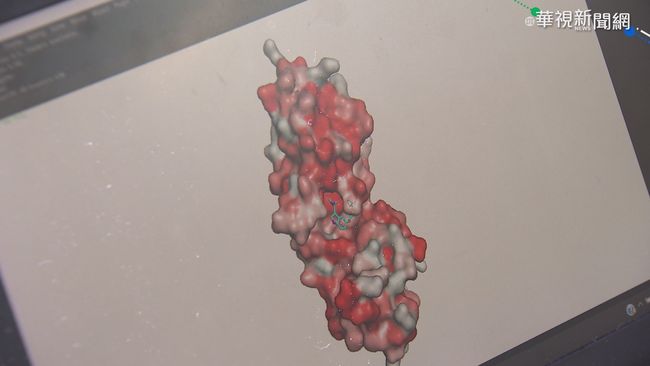 台美研究! 「核殼蛋白」 可抗新冠病毒 | 華視新聞