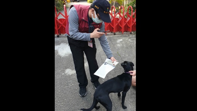 寵物遊蕩擾鄰被拍照檢舉 最高罰1萬5 | 華視新聞