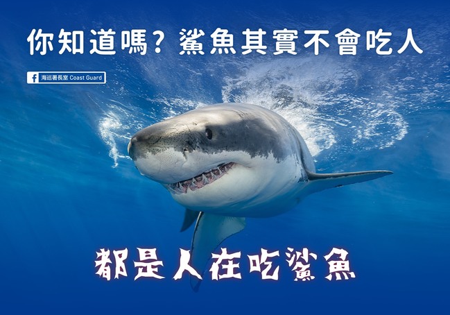 鯊魚會吃人好可怕？海巡署：都是人在吃鯊魚... | 華視新聞