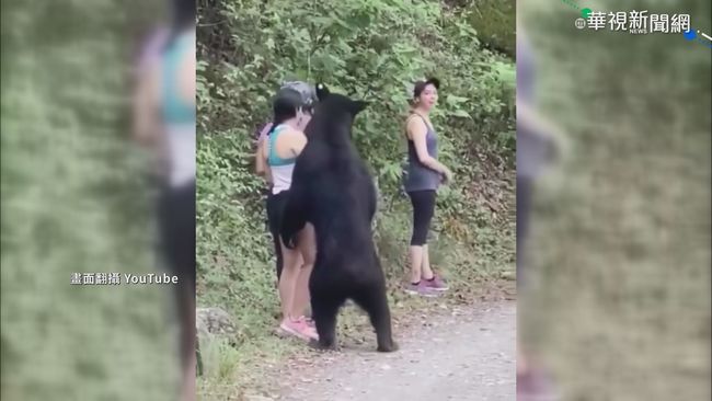 公園健行竟遇黑熊 女子淡定自拍 | 華視新聞