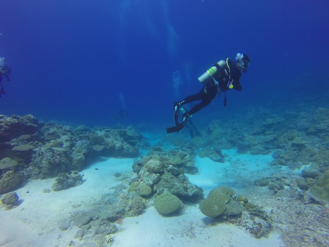 遊客iPhone掉大海1hr... 他潛水撿起竟「還在錄影」 | 華視新聞