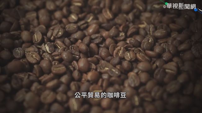 喝咖啡救雨林 吳子鈺實踐公平貿易 | 華視新聞