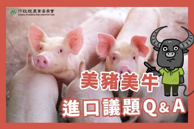 美豬美牛鬆綁進口 精選17點Q&A一次看 | 華視新聞